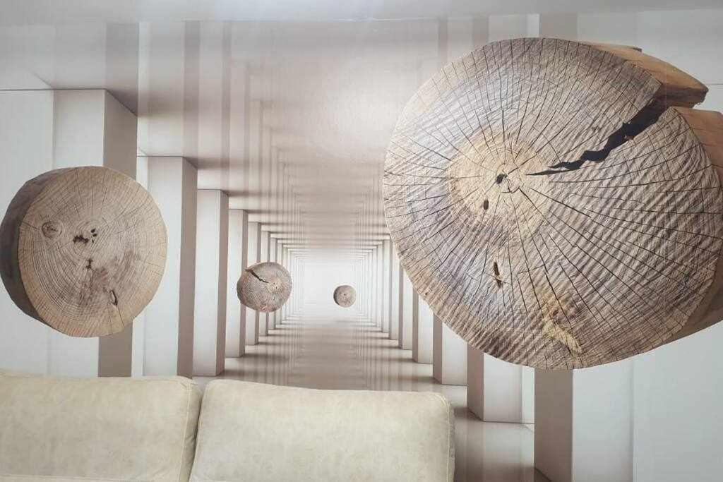 Acogedor Apartamento En El Pirineo Aragones ビリャヌア エクステリア 写真